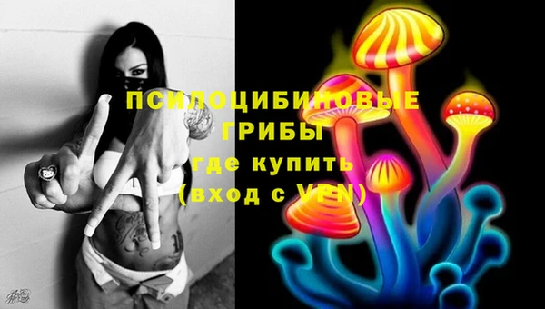 ешки Нефтекумск