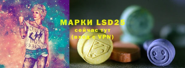 ГАЛЛЮЦИНОГЕННЫЕ ГРИБЫ Арсеньев