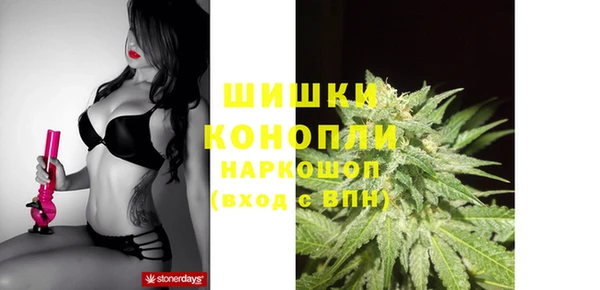 ГАЛЛЮЦИНОГЕННЫЕ ГРИБЫ Арсеньев