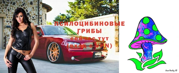 ГАЛЛЮЦИНОГЕННЫЕ ГРИБЫ Арсеньев